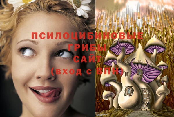 мдпв Алексеевка